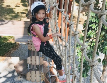 Forest Adventure Tree Top Course: Challenging One's Limits and Having Fun