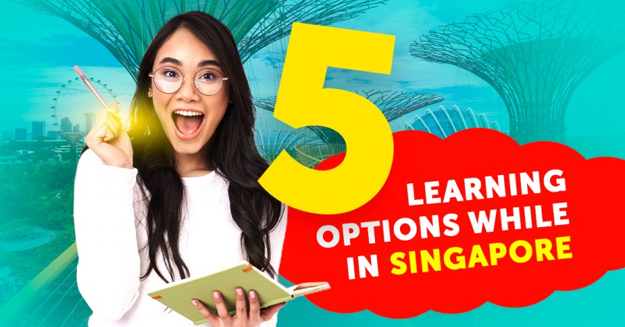 5 Learning Options While in Singapore