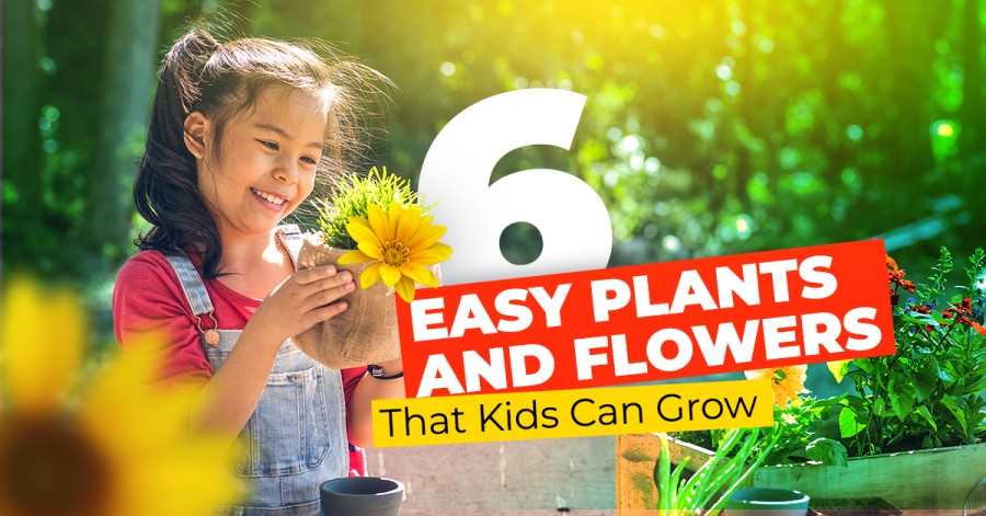 6 Easy Plants And Flowers That Kids Can Grow