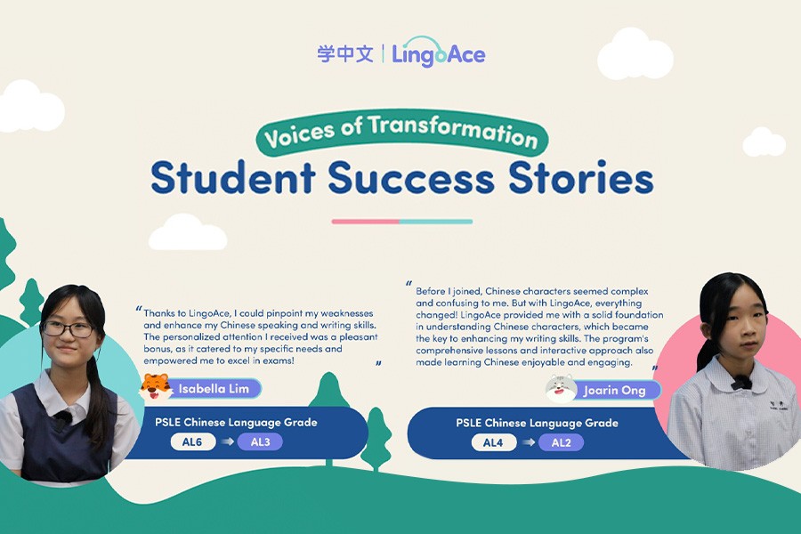 LingoAce Students Succes Stories