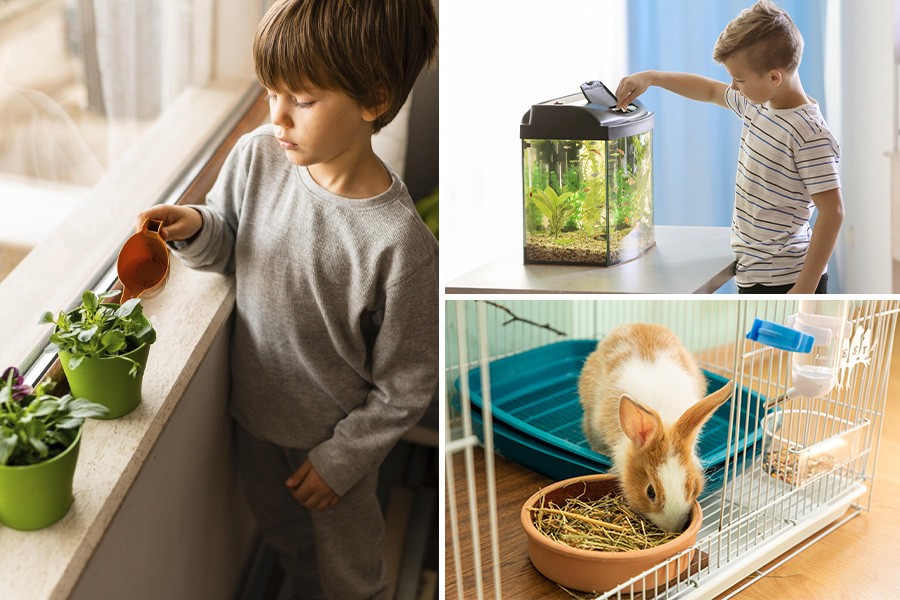 Plant Growing Indoor Activity for Kids