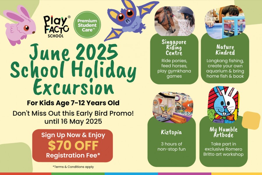 Promotional flyer for the play facto school holiday excursion highlighting top June camps for children in Singapore