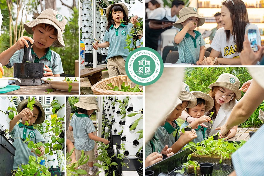 Children in green uniforms and hats engage in gardening activities with teachers. They examine plants, interact joyfully, and learn outdoors.