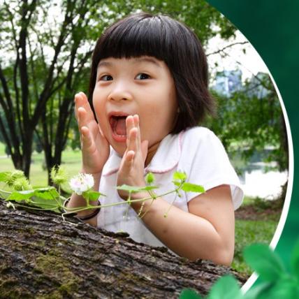 Discovering Nature's Classroom: Benefits of Forest School Education