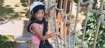 Forest Adventure Tree Top Course: Challenging One's Limits and Having Fun